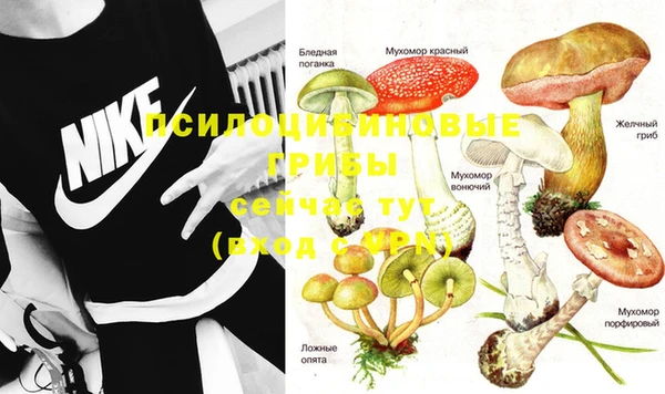метадон Баксан